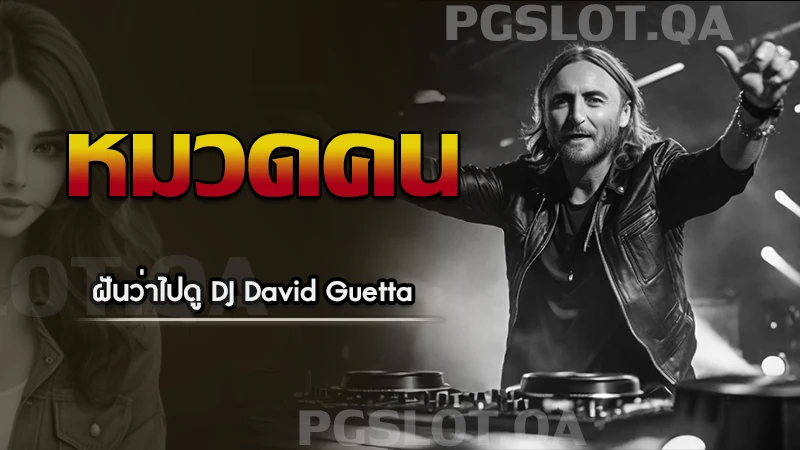 ฝันว่าไปดู DJ David Guetta