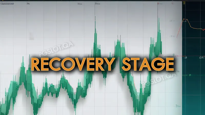 Recovery Stage